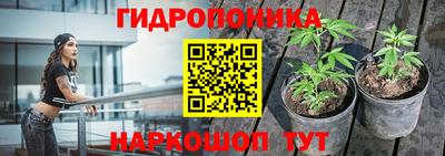 спиды Гусев