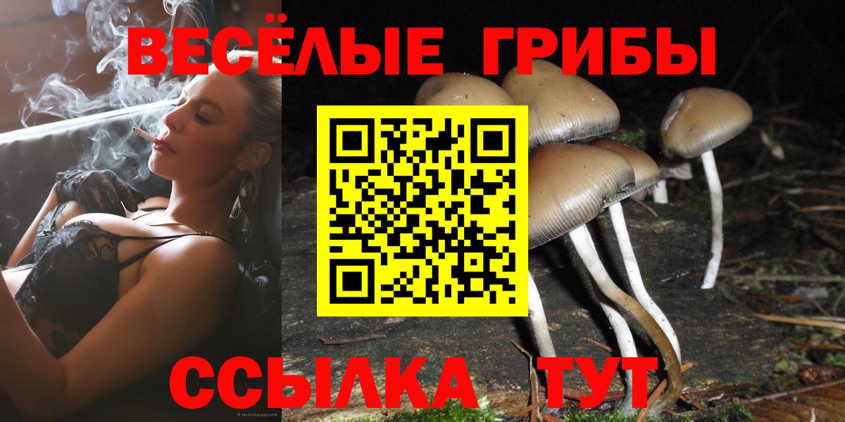 Псилоцибиновые грибы Psilocybine cubensis  Псилоцибиновые грибы Psilocybine cubensis  наркотики  Вход с VPN  Набережные Челны 